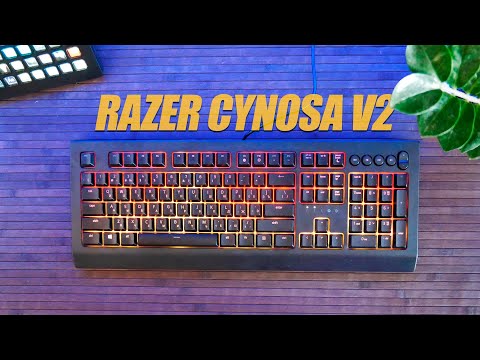 Razer Cynosa V2 - Обзор