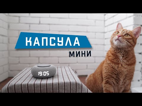 Капсула ВК Мини - Самая симпатичная Умная колонка от Mail.ru Group
