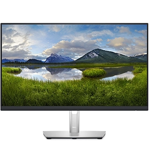 Dell P2423DE