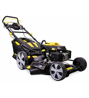 Champion LM5346E