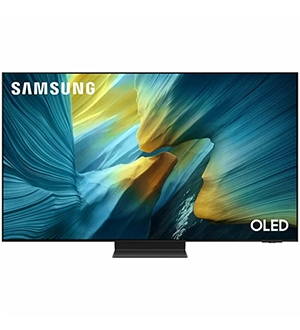 Samsung QE65S95FAUXRU